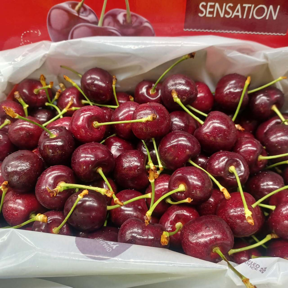 Red Sensation 红色诱惑 30-32mm 2kg January 7th-20th 2025